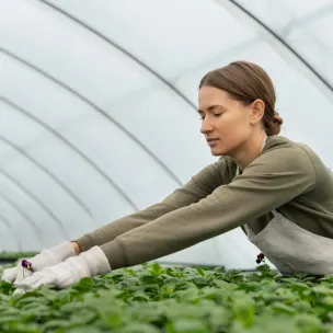 Сотрудничать