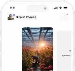 Мобильное приложение