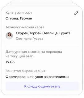 Безопасность и законность